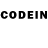 Галлюциногенные грибы GOLDEN TEACHER Polinn Pron