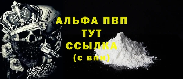 индика Арсеньев