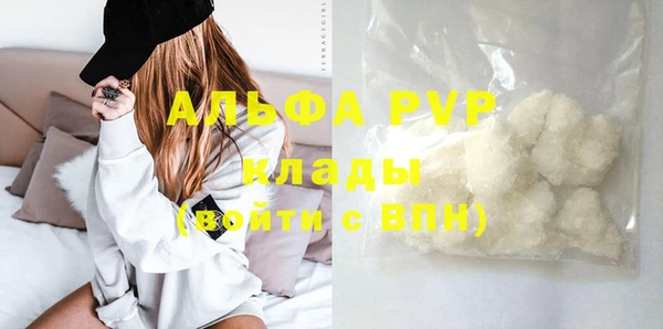 индика Арсеньев
