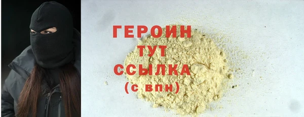 индика Арсеньев