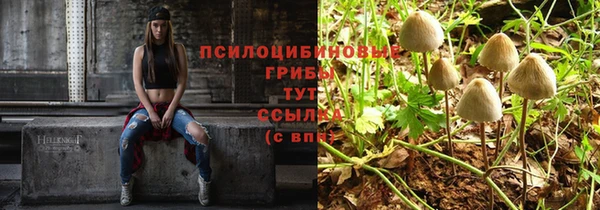 дурь Балахна