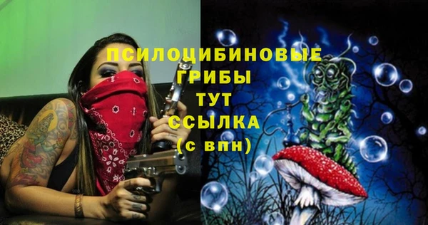 Альфа ПВП Аркадак