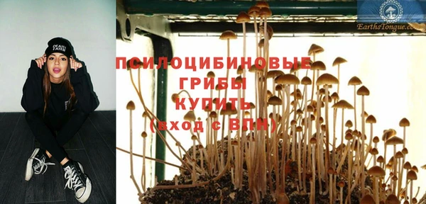 соль курить ск Армянск