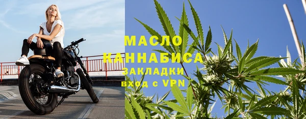 индика Арсеньев