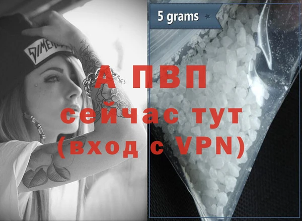 индика Арсеньев