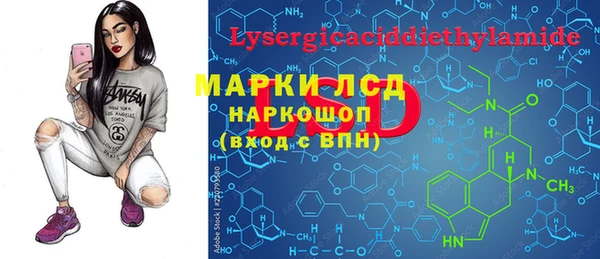 индика Арсеньев