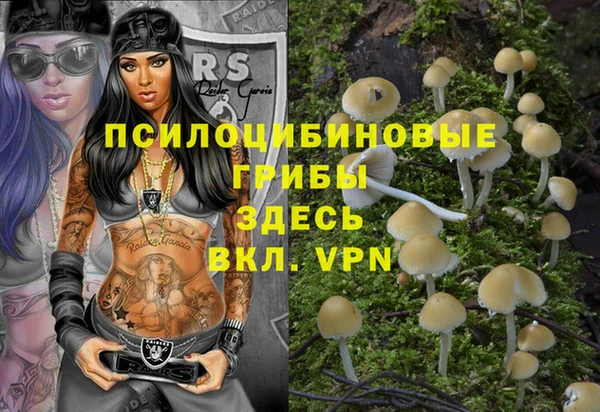 индика Арсеньев