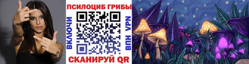 Галлюциногенные грибы ЛСД  Белая Холуница 